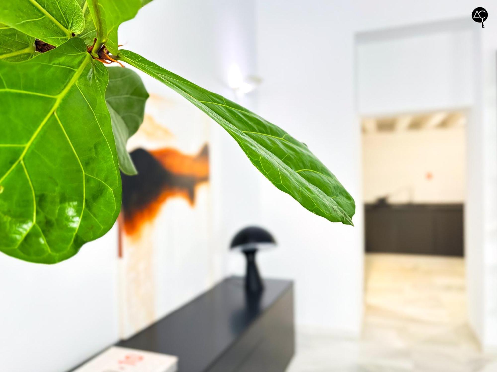Appartamento Casa Columela Cadice Esterno foto